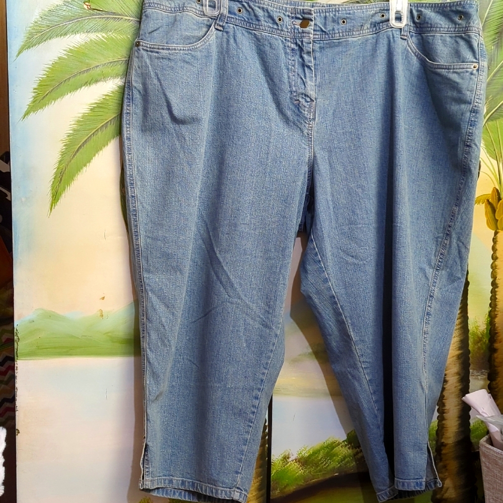 # 21 - Covington Women's Blue Capris Size 22w